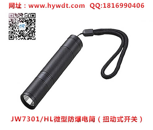乐清海洋王手电筒JW7301/HL(扭动开关）
