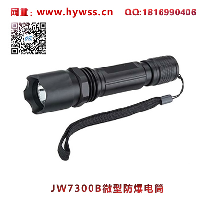 乐清海洋王JW7300B微型防爆电筒(尾部开关）